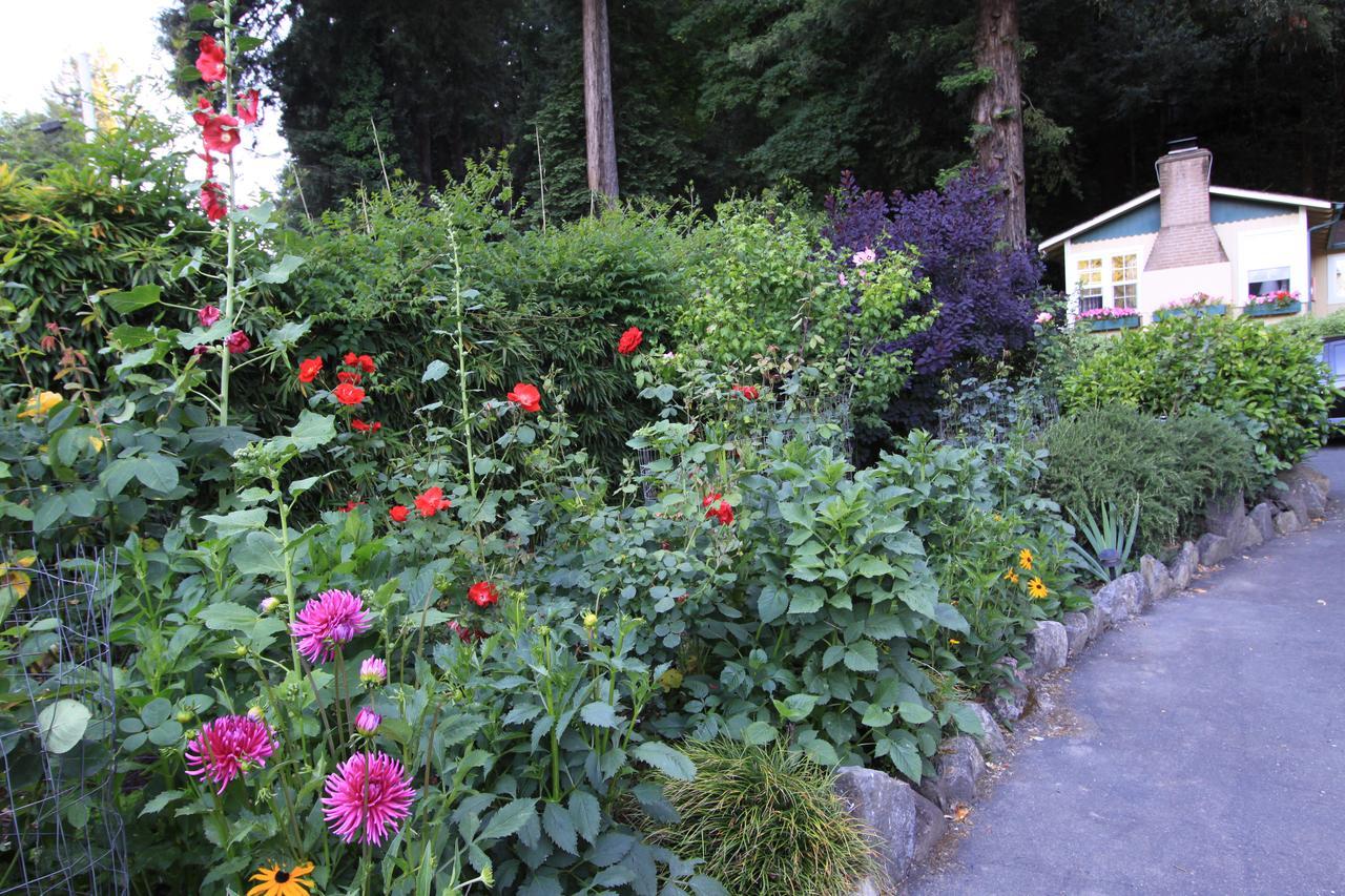 Fern Grove Cottages Ґернвілл Екстер'єр фото