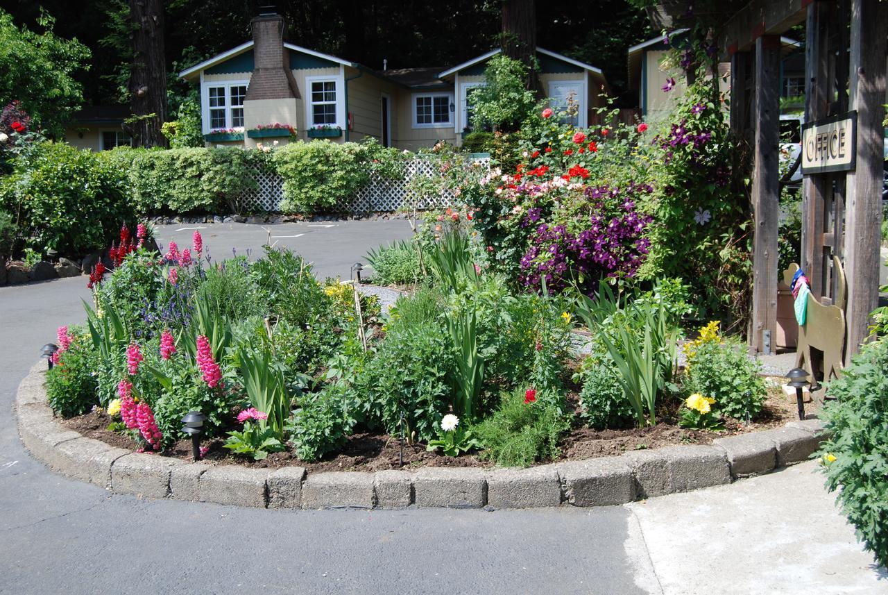 Fern Grove Cottages Ґернвілл Екстер'єр фото