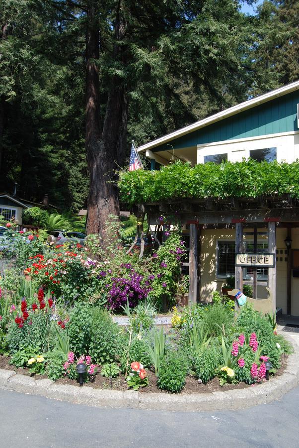 Fern Grove Cottages Ґернвілл Екстер'єр фото